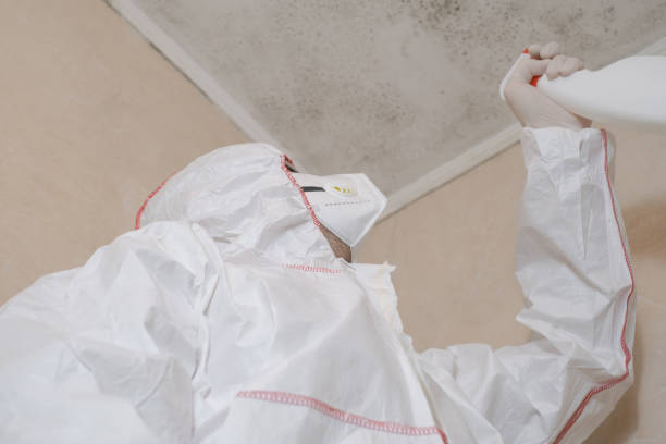 Best Industrial Mold Remediation in Snow Hill, MD